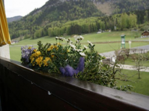 Abis Ferienwohnung Salzkammergut Strobl
